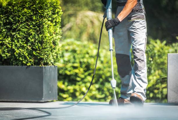 Best Solar Panel Cleaning  in Loma, CO