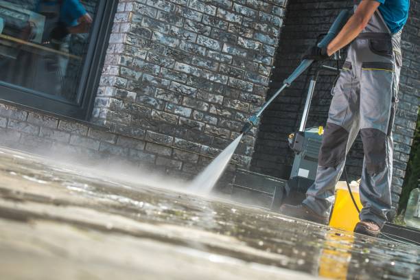 Best Dumpster Area Cleaning  in Loma, CO