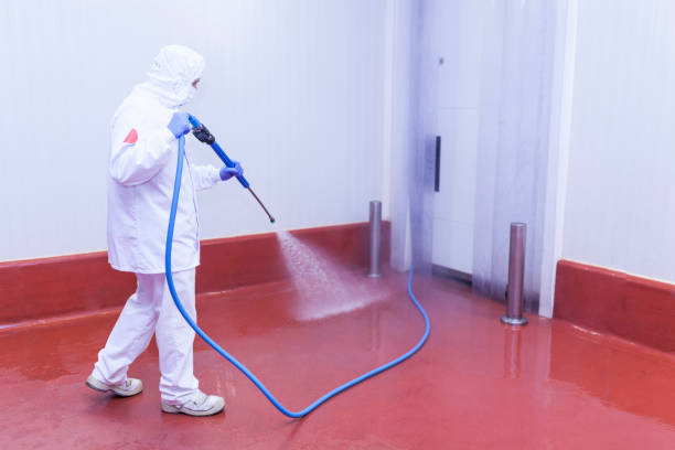 Reliable Loma, CO Pressure Washing Services Solutions