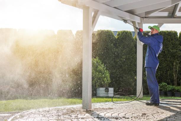 Best Pre-Holiday Cleaning  in Loma, CO